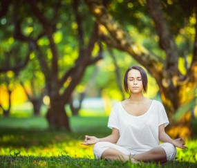 开云体育中国官网-冰封之地的逆袭，格纳布里关键一击助加拿大制霸冰岛