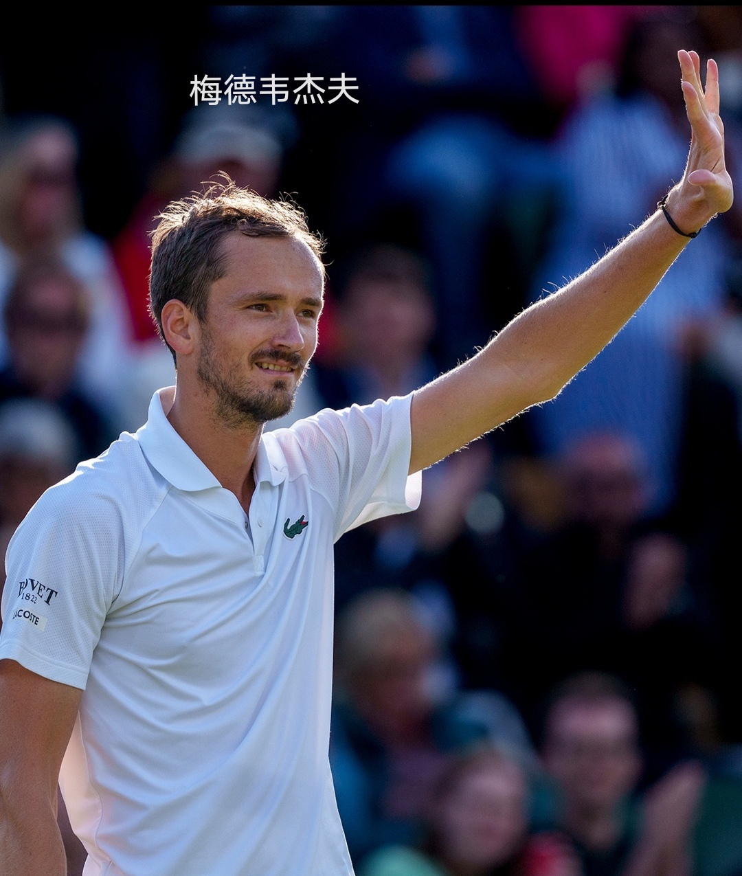 蒙特卡洛大师赛鏖战温网，梅德韦杰夫统治全场