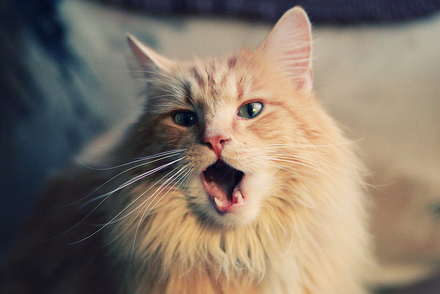 德里赫特铁壁封喉，阿森纳险胜马赛的欧冠之夜